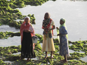 blad village